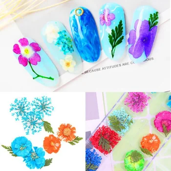 1 box nail art kvety na nechty, 3d nálepka DIY dekorácie farebné tipy suché kvetinové šperky príslušenstvo manikúra nástroje