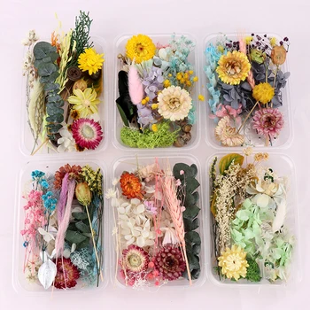 1 Box Prírodné Sušené Kvety pre Živicové Šperky Suché Rastliny Lisované Kvety, Takže Plavidlá DIY Príslušenstvo