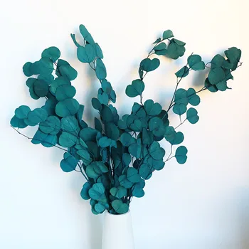 80g Zachované Listy Eukalyptu Vôňou Večného Displej Suchý Kvet Apple Obývacej Izby, Svadobný Domáce Dekorácie Fotografie Por