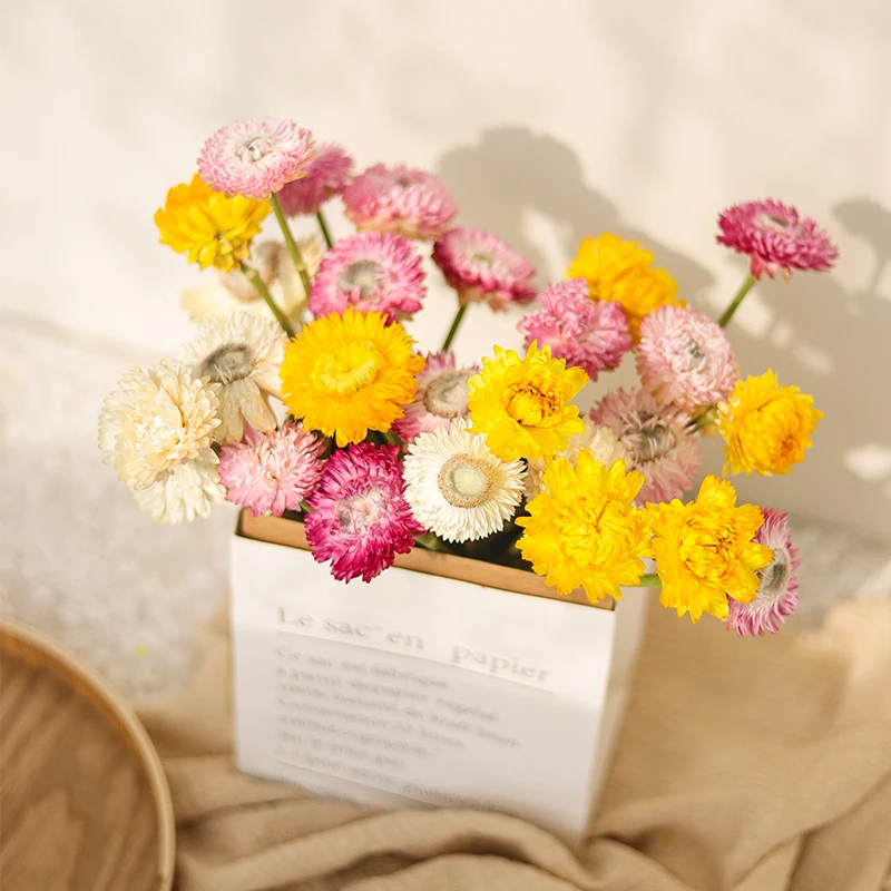 Žlté, Ružové A Biele Prírodné Sušené Kvety Daisy Suché Kvetinové Svadobné Kytice Konzervované Kvet Domov Obývacia Izba Stôl Dekorácie Obrázok 1