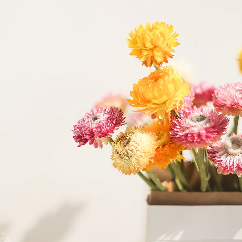 Žlté, Ružové A Biele Prírodné Sušené Kvety Daisy Suché Kvetinové Svadobné Kytice Konzervované Kvet Domov Obývacia Izba Stôl Dekorácie Obrázok 5